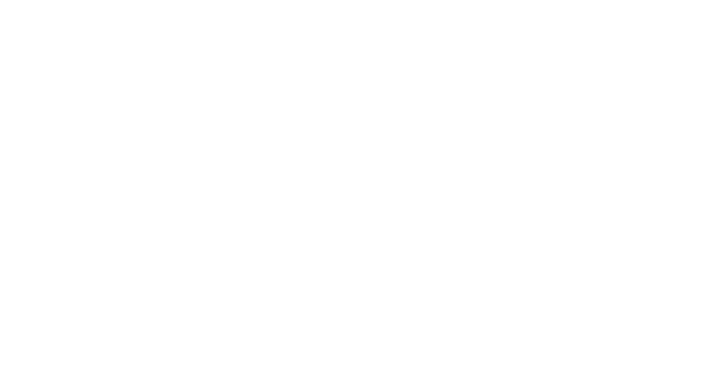 International Paralympic Committee (IPC) 